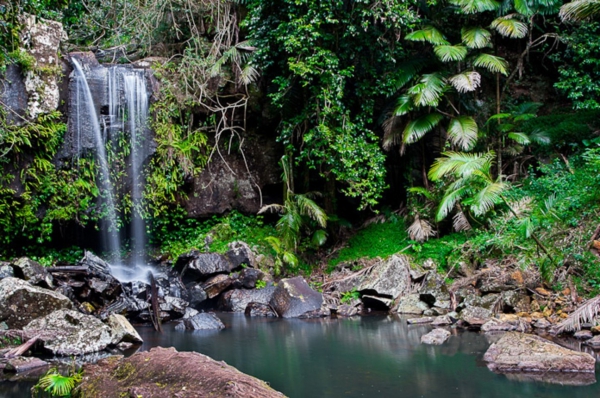 Zdjęcie z Australii - Wodospad Curtis Falls