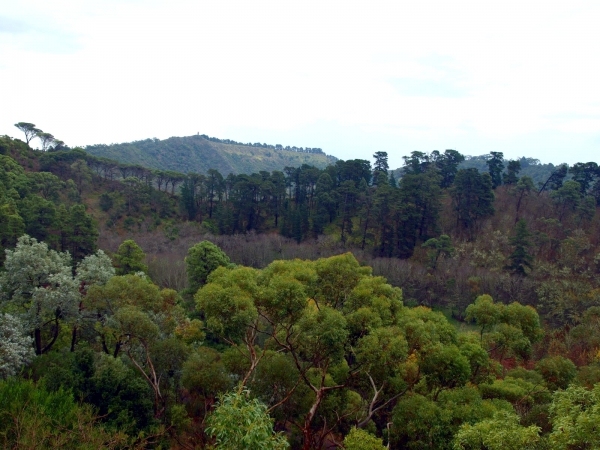 Zdjęcie z Australii - Marist Park o poranku