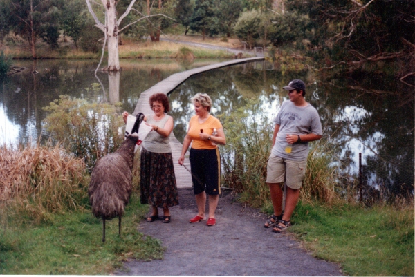 Zdjęcie z Australii - Emu spotkany w parku