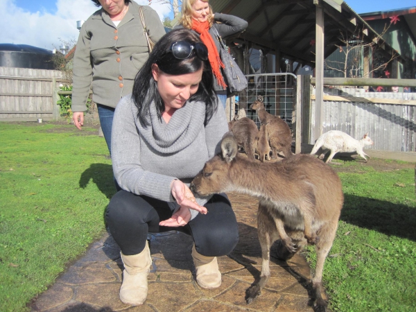 Zdjęcie z Australii - 