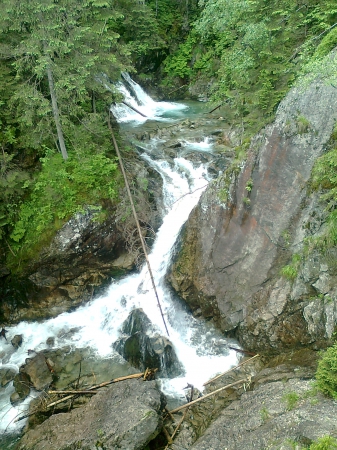 Zdjecie - Polska - Zakopane