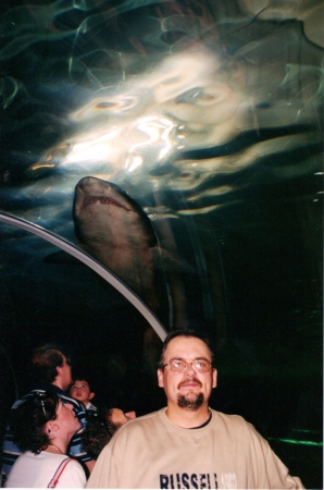 Zdjęcie z Australii - W Sydneyskim Oceanarium