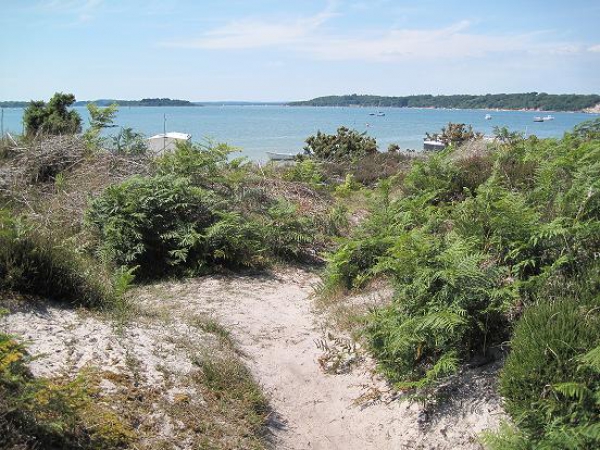 Zdjęcie z Wielkiej Brytanii - Isle of Purbeck