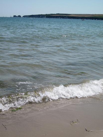 Zdjęcie z Wielkiej Brytanii - Studland beach