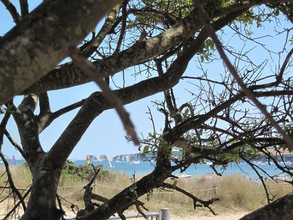 Zdjęcie z Wielkiej Brytanii - Studland beach
