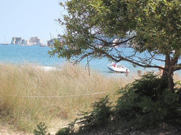 Zdjęcie z Wielkiej Brytanii - Studland beach