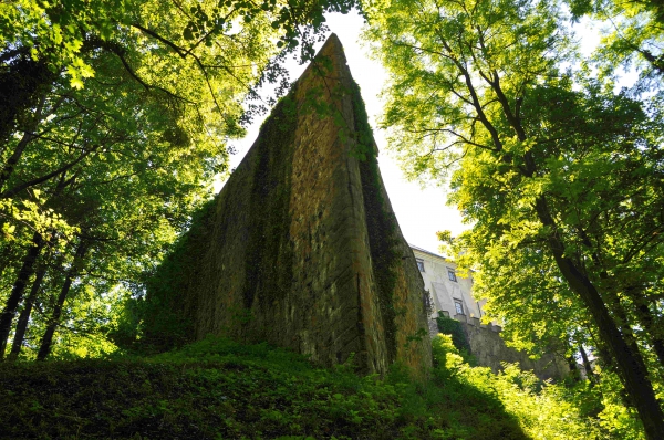 Zdjęcie z Czech - Naroże Zamek Frydland