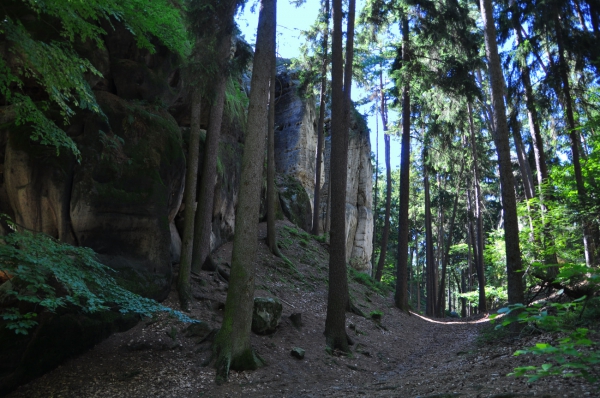 Zdjęcie z Czech - Skalne Miasto