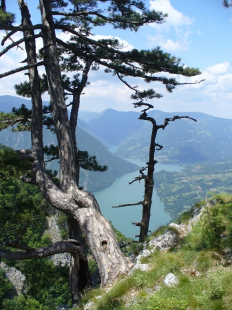 Zdjęcie z Serbii - Banjska Stena