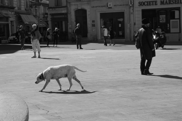 Zdjęcie z Francji - Arles