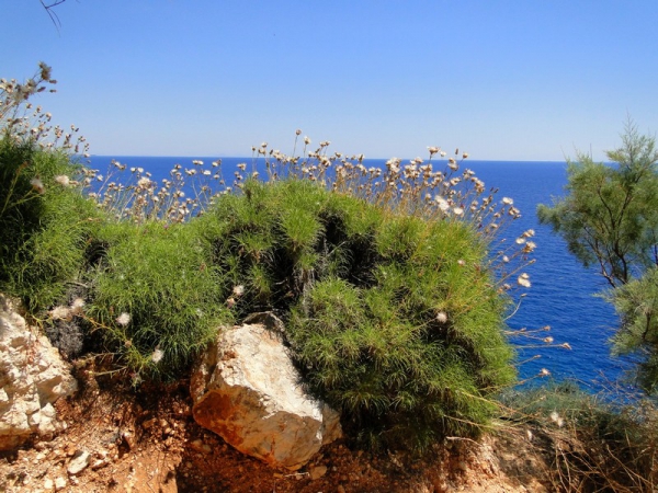 Zdjęcie z Grecji - Gdzieś na Zakynthos.