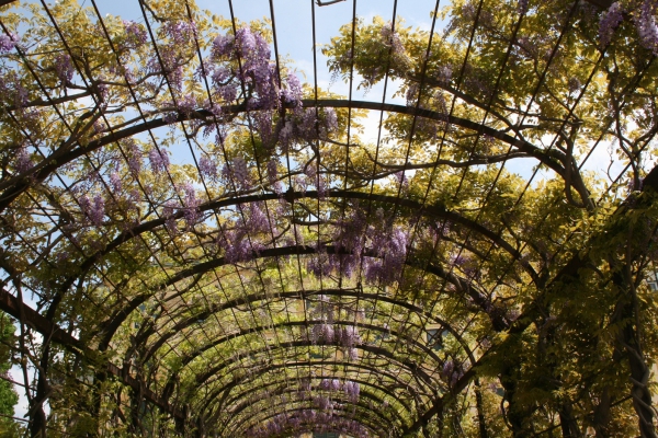 Zdjęcie z Austrii - Schönbrunn