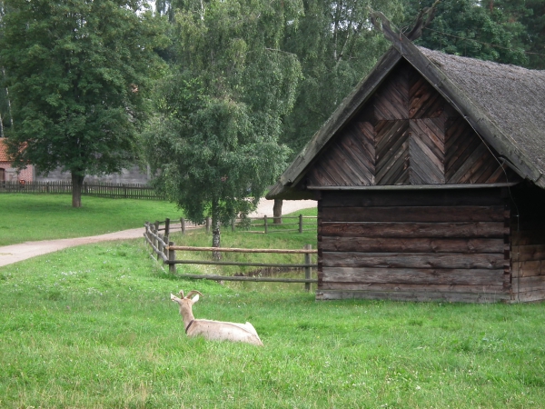 Zdjęcie z Polski - 