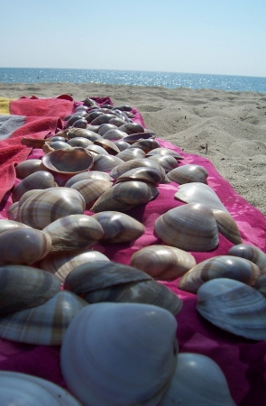 Zdjęcie z Grecji - Paralia