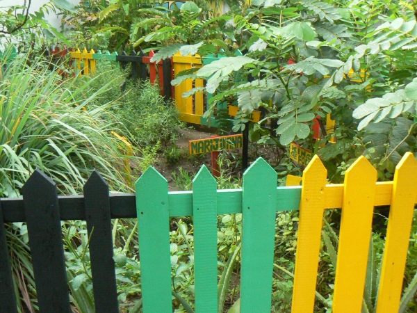 Zdjecie - Jamajka - Kingston, Buff Bay, Anotto Bay, Ochio Rios, Monteg
