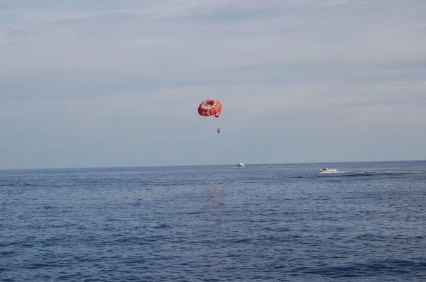 Zdjęcie z Egiptu - Red Sea