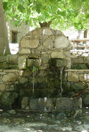 Zdjęcie z Grecji - Kreta