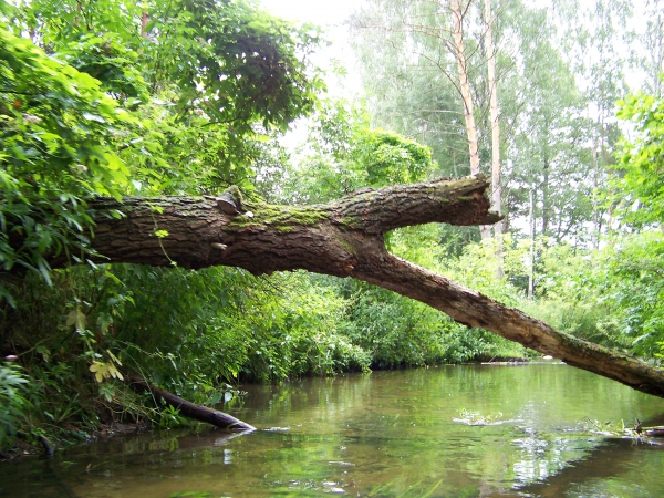 Zdjęcie z Polski - 