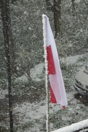 Zdjęcie z Polski - Wiwat maj, 3 maj!