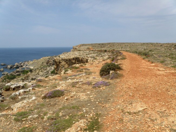 Zdjęcie z Malty - II - Majjistral PN