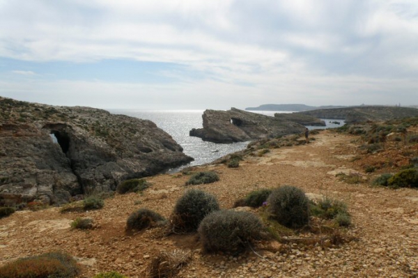 Zdjęcie z Malty - COMINO