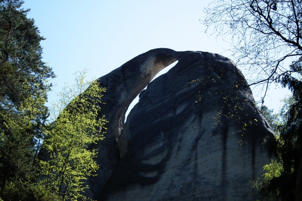 Zdjęcie z Czech - Dzban / Delfin