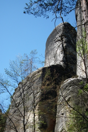 Zdjęcie z Czech - Fotel Karkonosza