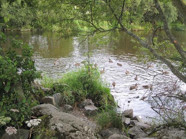 Zdjęcie z Wielkiej Brytanii - Llyn Lake, Bala