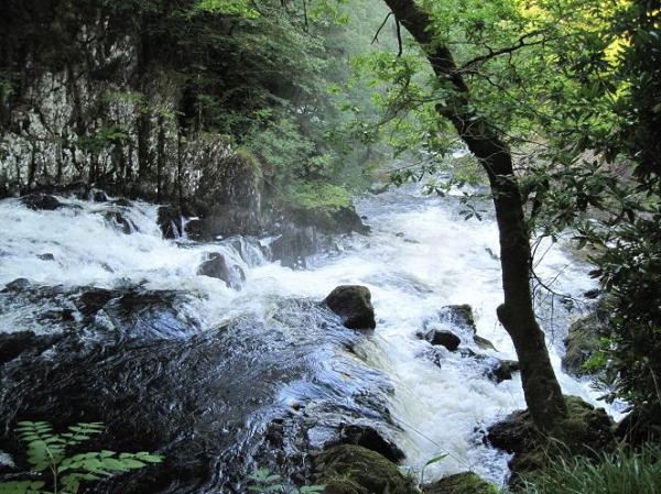 Zdjęcie z Wielkiej Brytanii - Swallow Falls