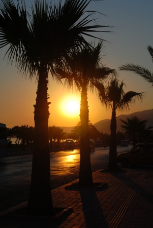 Zdjęcie z Turcji - Alanya