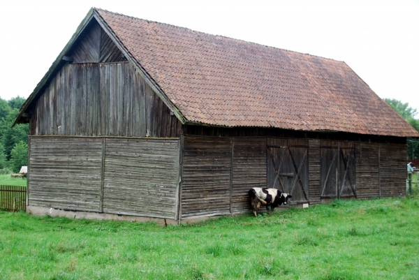 Zdjęcie z Polski - Wiwjskie klimaty