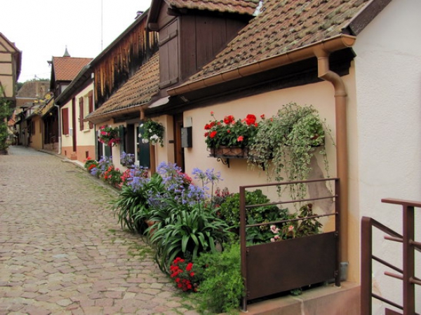Zdjęcie z Francji - Riquewihr.