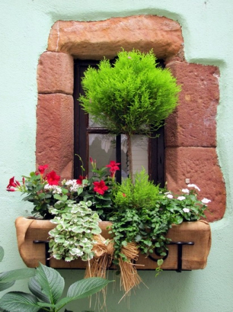 Zdjęcie z Francji - Riquewihr.