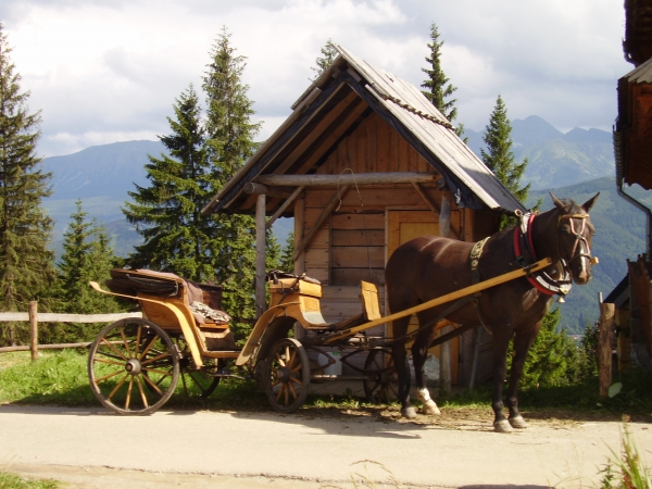 Zdjecie - Polska - Zakopane