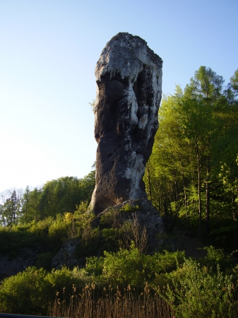 Zdjęcie z Polski - maczuga Herkulesa