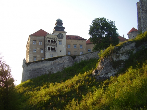 Zdjęcie z Polski - Pieskowa Skała