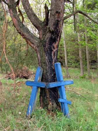 Zdjęcie z Polski - Dubice - przy cmentarzu.