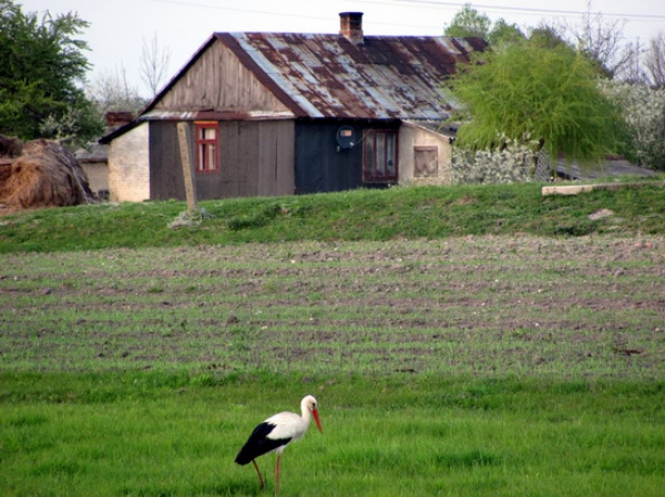 Zdjęcie z Polski - Wies Babsk na Polesiu.