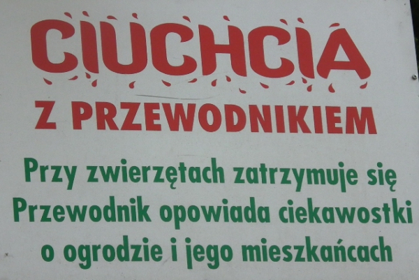 Zdjęcie z Polski - ciuchcia