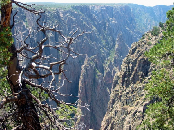Zdjęcie ze Stanów Zjednoczonych - North Rim.