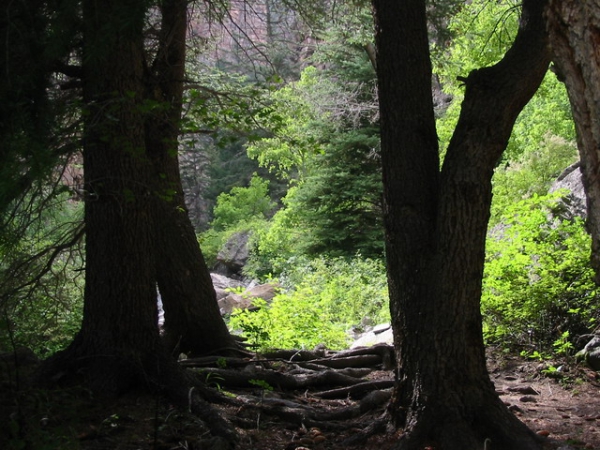 Zdjęcie ze Stanów Zjednoczonych - Curecanti Creek Trail.