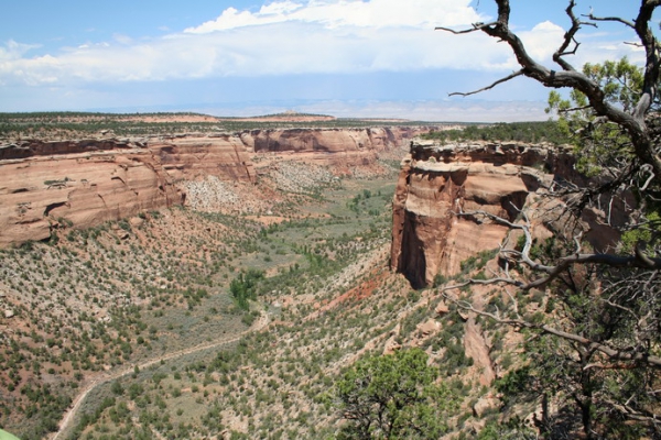 Zdjęcie ze Stanów Zjednoczonych - Colorado Natl Monument.