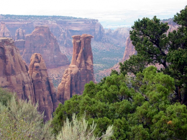 Zdjęcie ze Stanów Zjednoczonych - Colorado NM.