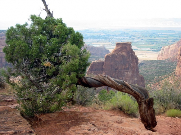 Zdjęcie ze Stanów Zjednoczonych - Colorado NM.