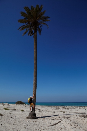 Zdjęcie z Tunezji - Jerba - Public beach