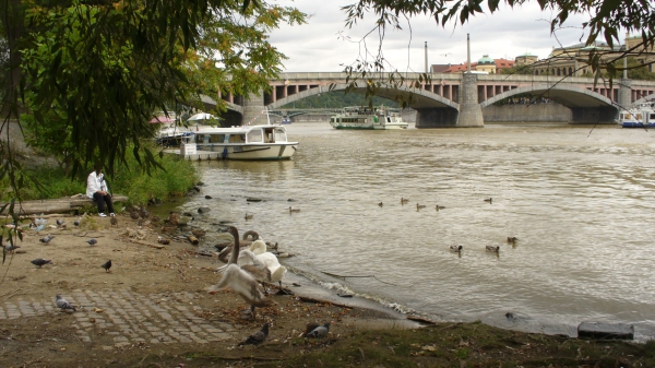 Zdjęcie z Czech - Nad Vltavą