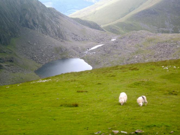 Zdjęcie z Wielkiej Brytanii - Widok w drodze na Snowdon