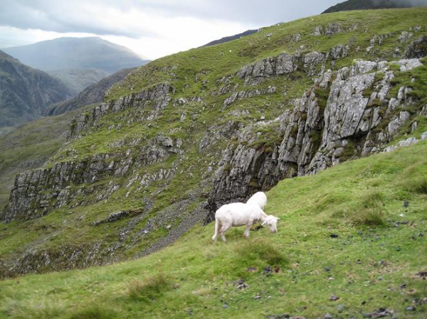 Zdjęcie z Wielkiej Brytanii - Widok w drodze na Snowdon