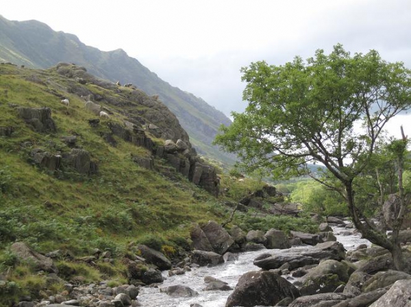 Zdjęcie z Wielkiej Brytanii - Okolice Llanberis