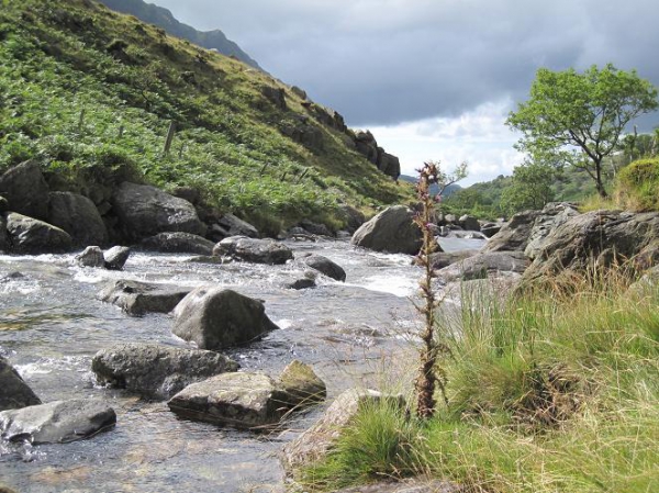 Zdjęcie z Wielkiej Brytanii - Okolice Llanberis